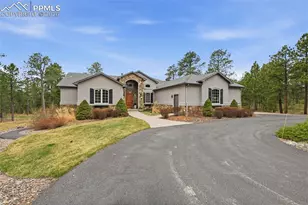 1125 Edenhurst Ct, Monument, CO 80132 - Photo 46