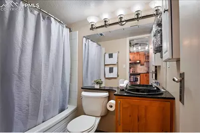 417 E Kiowa Street #1103, Colorado Springs, CO 80903 - Photo 30