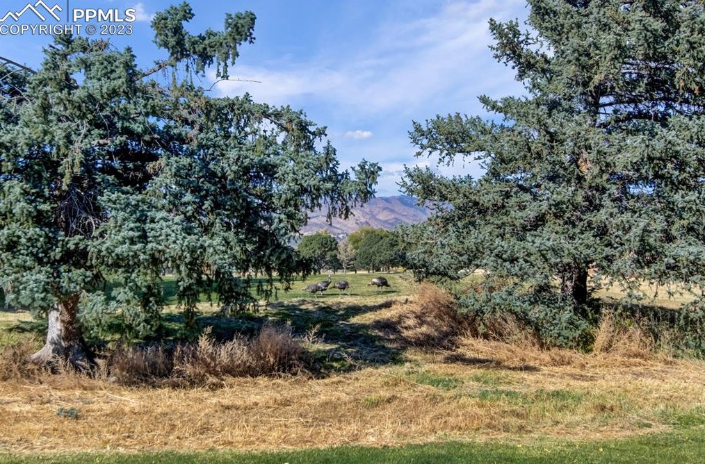 3160 Sheiks Pl, Colorado Springs, CO 80904-1141