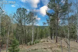 847 Timber Ridge Rd, Divide, CO 80814 - Photo 40