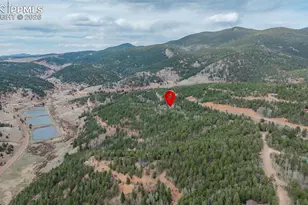 847 Timber Ridge Rd, Divide, CO 80814 - Photo 38
