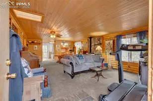 847 Timber Ridge Rd, Divide, CO 80814 - Photo 4