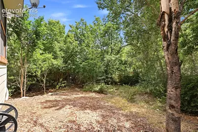 1015 Dancing Horse Drive, Colorado Springs, CO 80919 - Photo 26