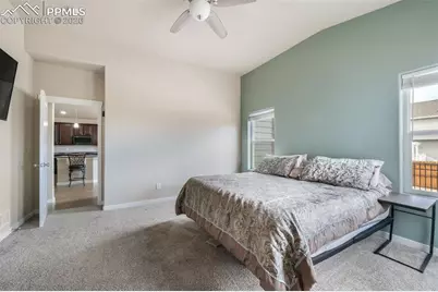 7296 Alpine Daisy Drive, Colorado Springs, CO 80925 - Photo 18