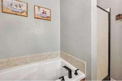 31 Wallace Drive, Florissant, CO 80816 - Photo 12