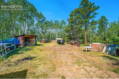 106 Forest Court, Guffey, CO 80820 - Photo 22