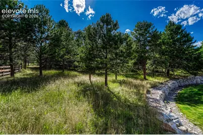 1103 Greenland Forest Drive, Monument, CO 80132 - Photo 40