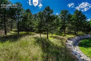 1103 Greenland Forest Dr, Monument, CO 80132 - Photo 40