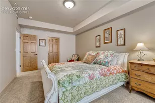 1103 Greenland Forest Dr, Monument, CO 80132 - Photo 36