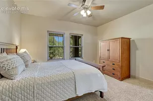 1103 Greenland Forest Dr, Monument, CO 80132 - Photo 24