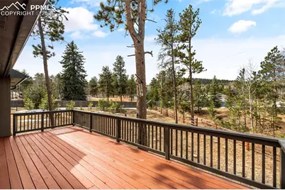 1169 Ptarmigan Drive, Woodland Park, CO 80863 - Photo 42
