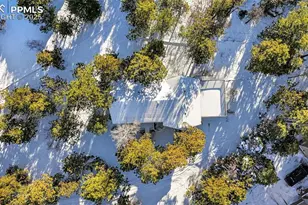 835 Woodmoor Dr, Monument, CO 80132 - Photo 34