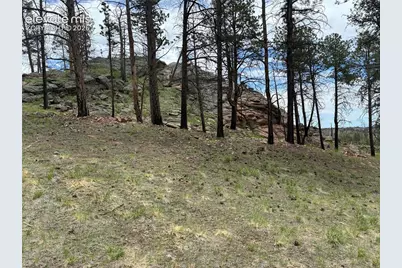 266 Chapparal Trail, Florissant, CO 80816 - Photo 28