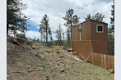 266 Chapparal Trail, Florissant, CO 80816 - Photo 20