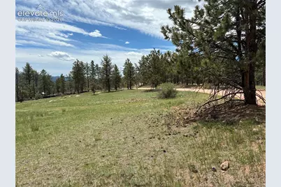 266 Chapparal Trail, Florissant, CO 80816 - Photo 2