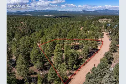 210 Donzi Trail, Florissant, CO 80816 - Photo 2