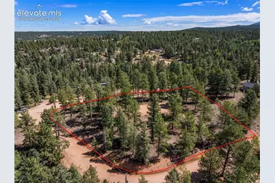 210 Donzi Trail, Florissant, CO 80816 - Photo 10