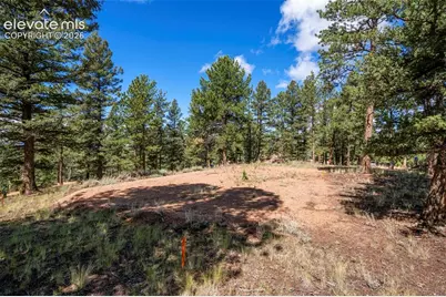 210 Donzi Trail, Florissant, CO 80816 - Photo 20