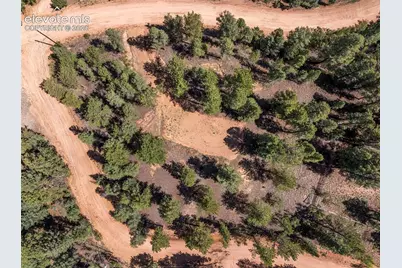 210 Donzi Trail, Florissant, CO 80816 - Photo 16