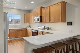 11029 Falling Snow Ln, Colorado Springs, CO 80908 - Photo 18
