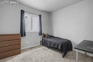 11029 Falling Snow Ln, Colorado Springs, CO 80908 - Photo 26