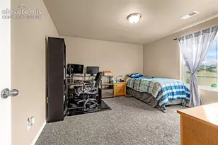 8771 Dry Needle Place, Colorado Springs, CO 80908 - Photo 28