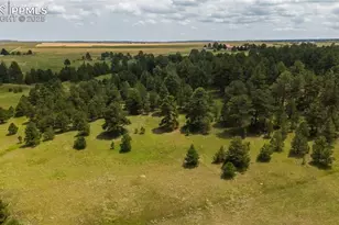 11771 E Smith Rd, Elbert, CO 80106 - Photo 2