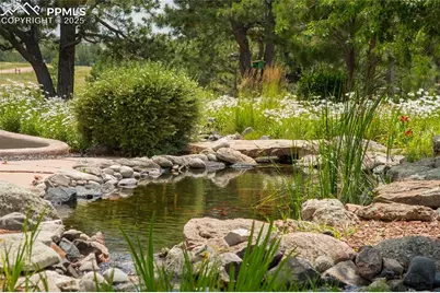 11771 E Smith Road, Elbert, CO 80106 - Photo 4