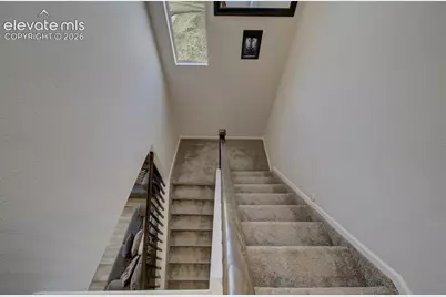 8262 Buffalo Horn Drive, Colorado Springs, CO 80925 - Photo 34