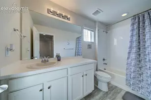 8262 Buffalo Horn Dr, Colorado Springs, CO 80925 - Photo 48