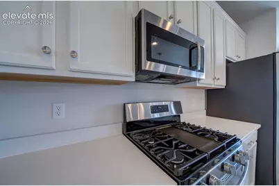 8262 Buffalo Horn Drive, Colorado Springs, CO 80925 - Photo 24