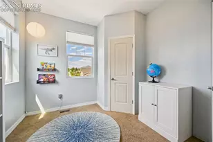 6563 Mineral Belt Dr, Colorado Springs, CO 80927 - Photo 28