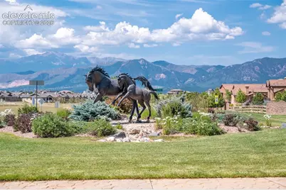 1878 Walnut Creek Court, Colorado Springs, CO 80921 - Photo 48