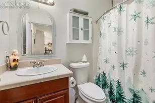 1058 Hackamore Dr, Florissant, CO 80816 - Photo 24