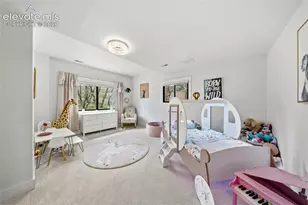 2220 Cape Pine Way, Colorado Springs, CO 80919 - Photo 40
