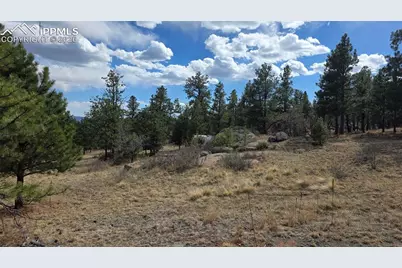 2002 Comanche Circle, Florissant, CO 80816 - Photo 18