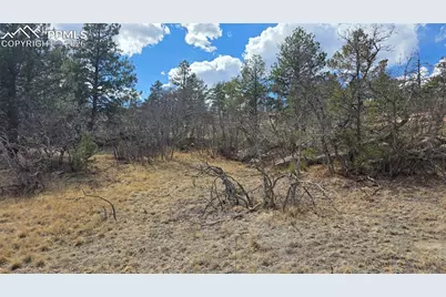 2002 Comanche Circle, Florissant, CO 80816 - Photo 4