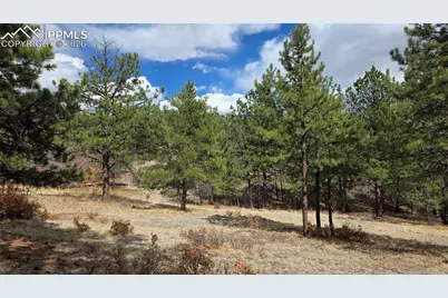 2002 Comanche Circle, Florissant, CO 80816 - Photo 12