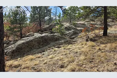 2002 Comanche Circle, Florissant, CO 80816 - Photo 10