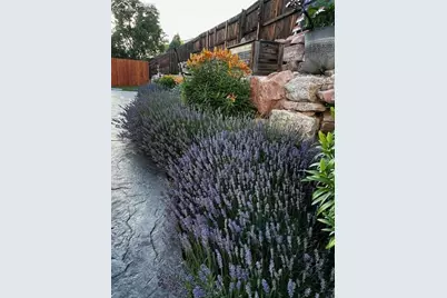 6645 Cache Drive, Colorado Springs, CO 80923 - Photo 42