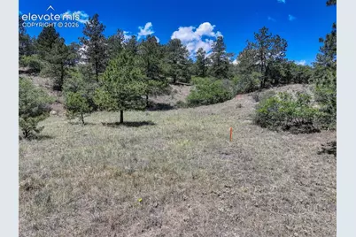 235 Dusty Hills Court, Colorado Springs, CO 80919 - Photo 6
