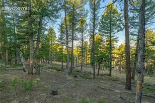 88 Malmsey Ln, Divide, CO 80814 - Photo 1