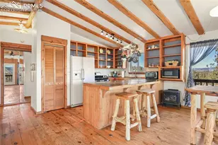 66 Shawnee Pl, Florissant, CO 80816 - Photo 20