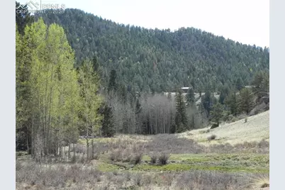 1699 Monarch Drive, Cripple Creek, CO 80813 - Photo 6