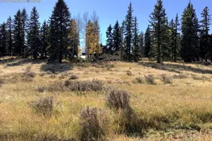 199 Joshua Rd, Divide, CO 80814 - Photo 1