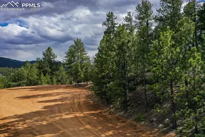 102 Blue Bell Circle, Cripple Creek, CO 80813 - Photo 10