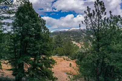 102 Blue Bell Circle, Cripple Creek, CO 80813 - Photo 34