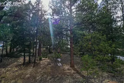 102 Blue Bell Circle, Cripple Creek, CO 80813 - Photo 16