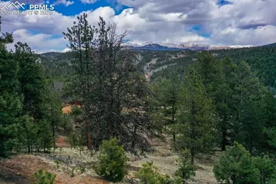 102 Blue Bell Circle, Cripple Creek, CO 80813 - Photo 30