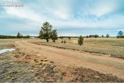 12077 County Road 1, Florissant, CO 80816 - Photo 8